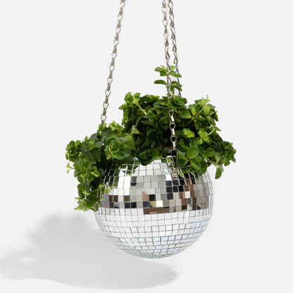Pot de plantes disco