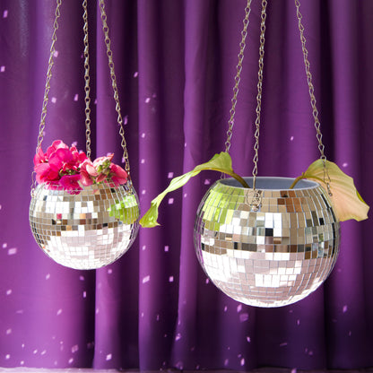 Pot de plantes disco