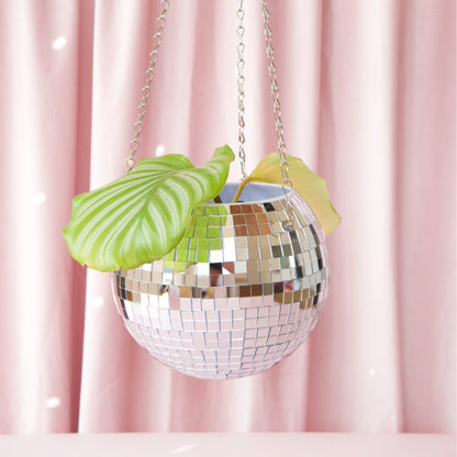 Pot de plantes disco