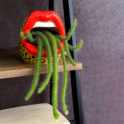 Cendrier bouche