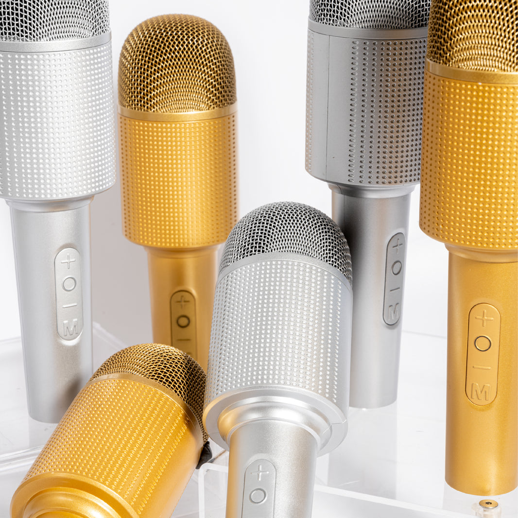Micro enceinte Karaoké