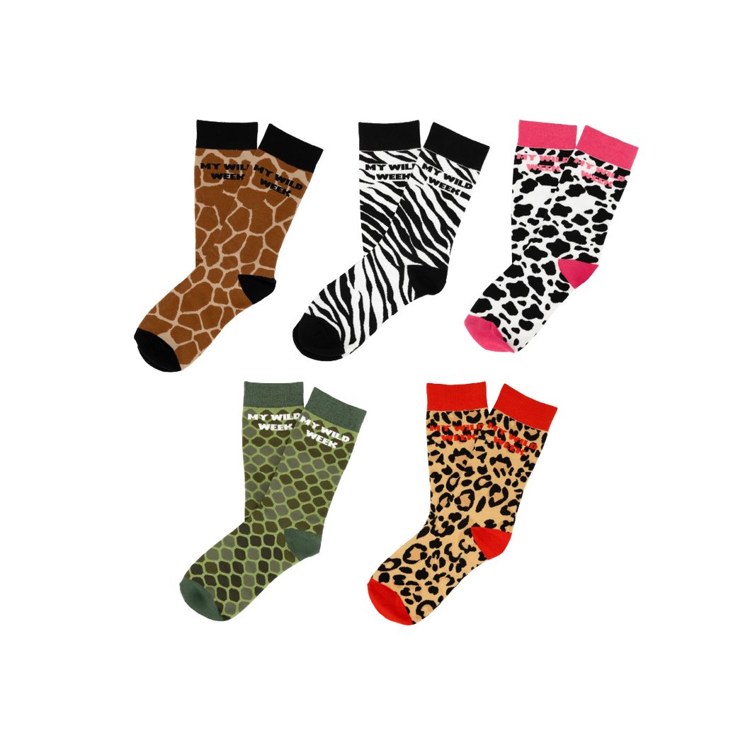 Pack 5 chaussettes "My wild week"