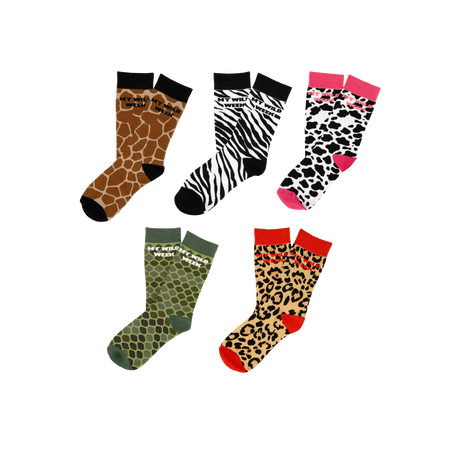 Pack 5 chaussettes "My wild week"