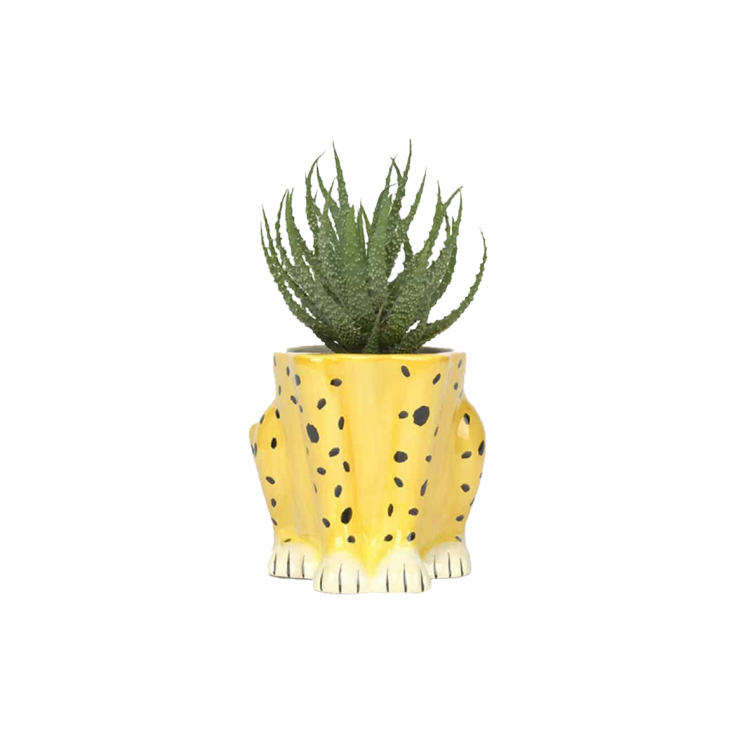 Pot / vase guépard