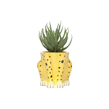 Pot / vase guépard