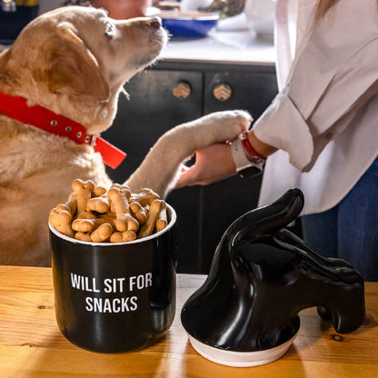 Boite à snack pour chien