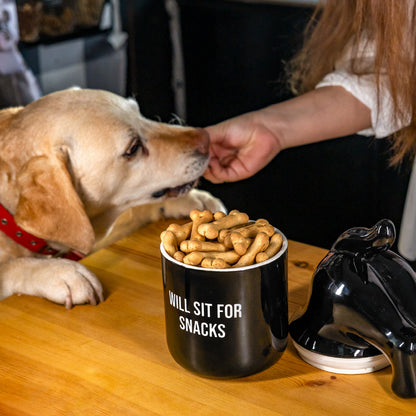 Boite à snack pour chien