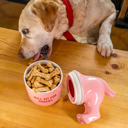 Boite à snack pour chien