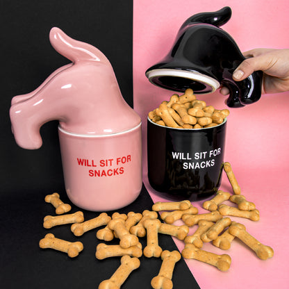 Boite à snack pour chien