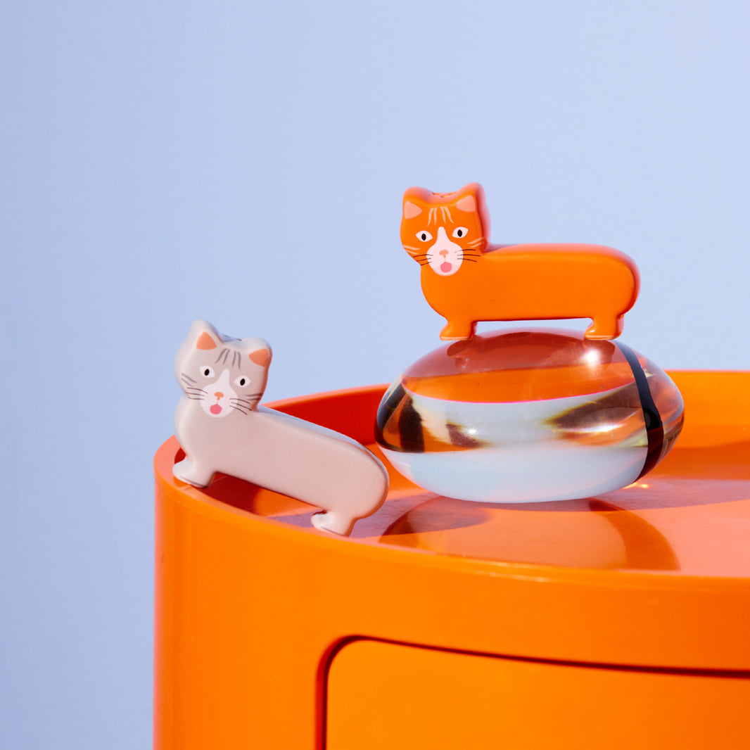 Salière et poivrière chats