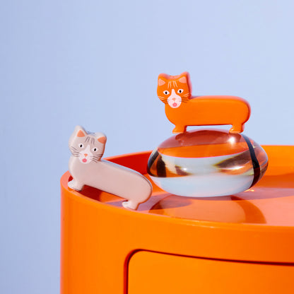 Salière et poivrière chats