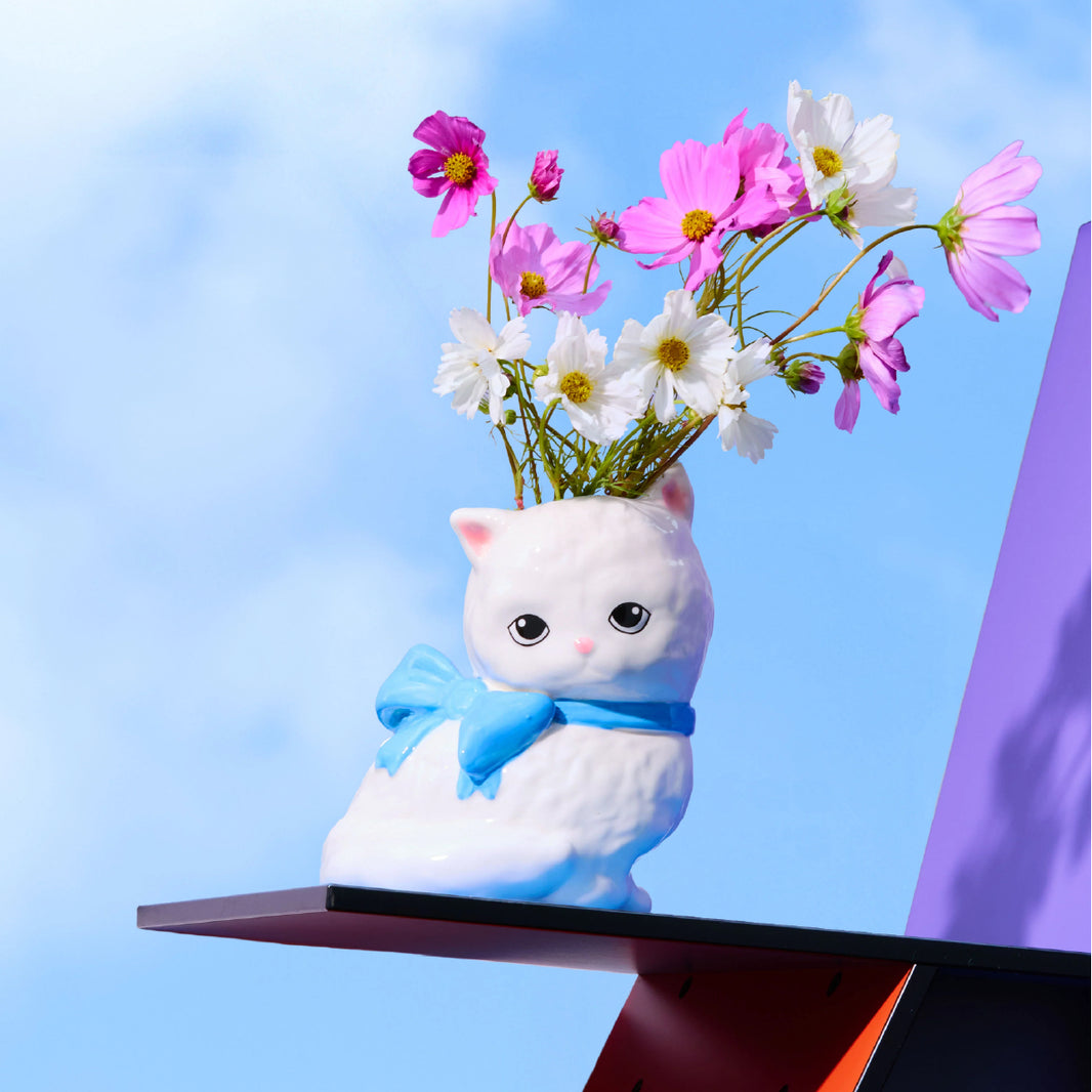 Vase chat