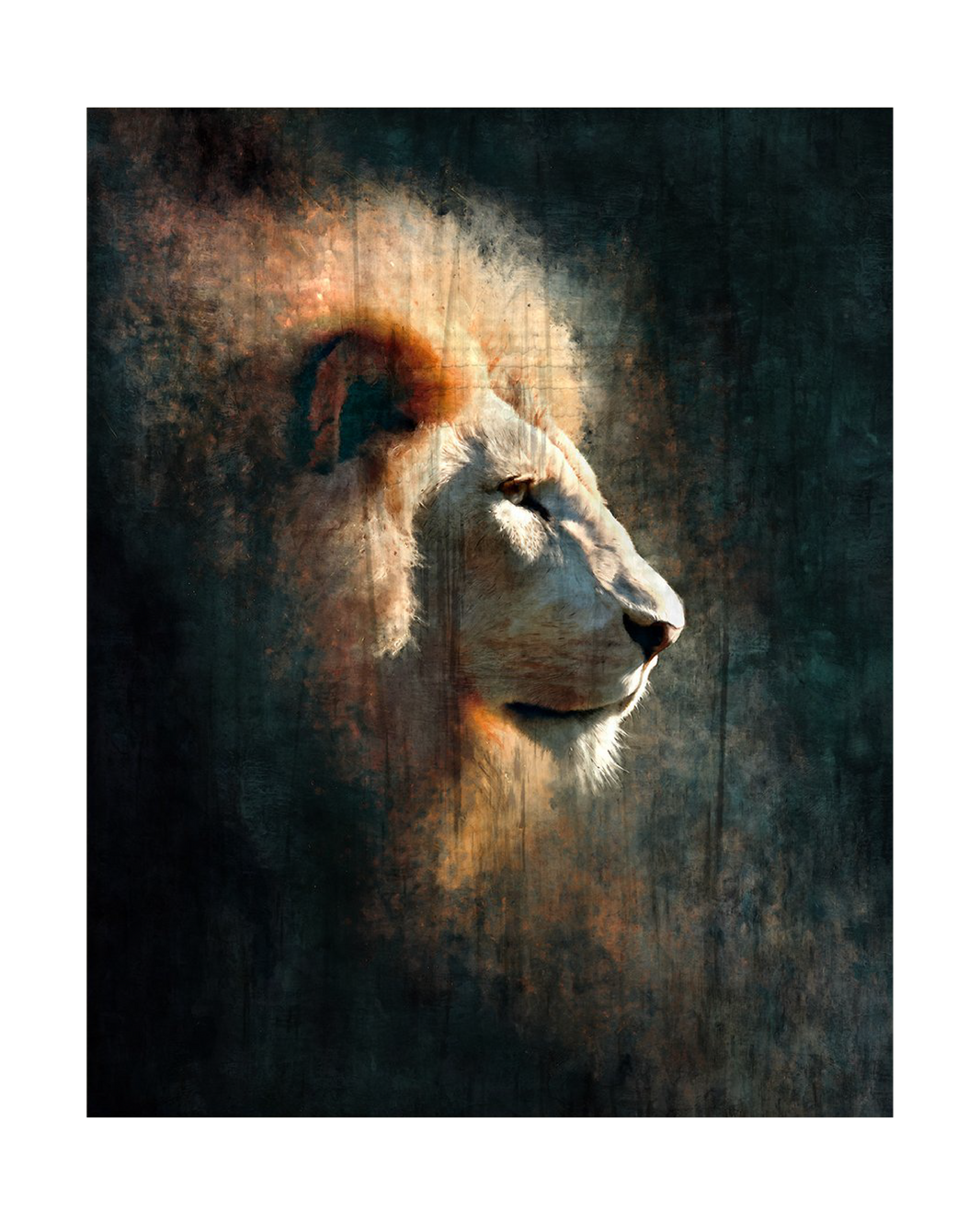Le lion blanc