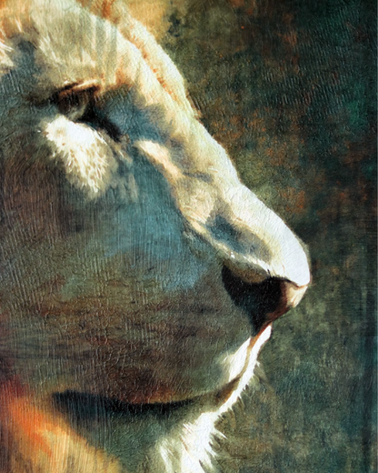 Le lion blanc