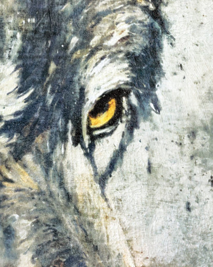 Le loup
