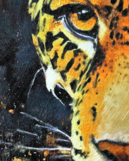Le leopard