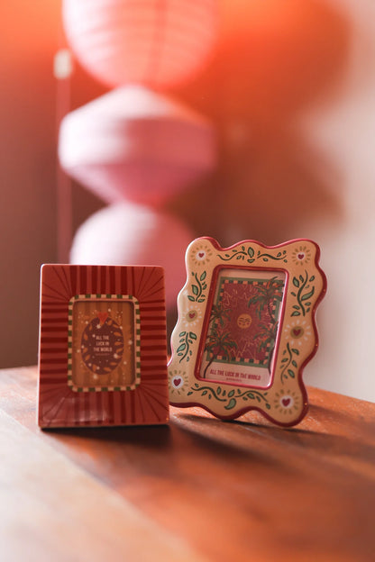 Cadre Photo Polaroid Rayures Roses